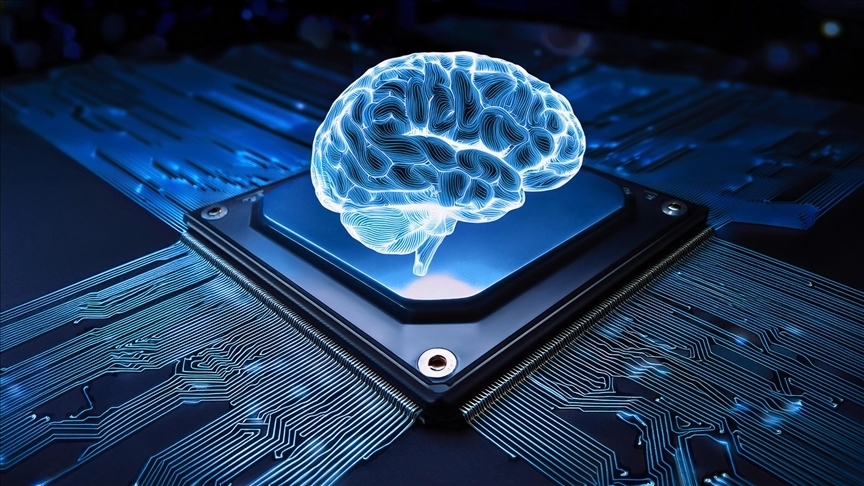 Brain on Chip